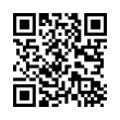 QR Code (код быстрого отклика)