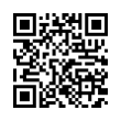 QR Code (код быстрого отклика)