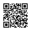 QR Code (код быстрого отклика)