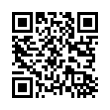 QR Code (код быстрого отклика)