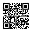 QR Code (код быстрого отклика)