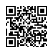 QR Code (код быстрого отклика)