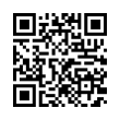 QR Code (код быстрого отклика)