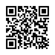 QR Code (код быстрого отклика)