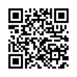 QR Code (код быстрого отклика)