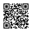 QR Code (код быстрого отклика)