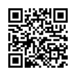 QR Code (код быстрого отклика)