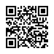 QR Code (код быстрого отклика)