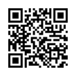 QR Code (код быстрого отклика)