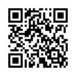 QR Code (код быстрого отклика)