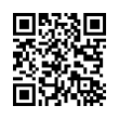 QR Code (код быстрого отклика)