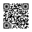 QR Code (код быстрого отклика)