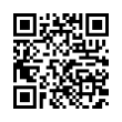 QR Code (код быстрого отклика)