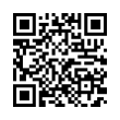 QR Code (код быстрого отклика)