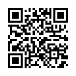 QR Code (код быстрого отклика)