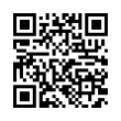 QR Code (код быстрого отклика)