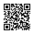 QR Code (код быстрого отклика)