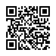 QR Code (код быстрого отклика)