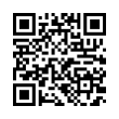 QR Code (код быстрого отклика)