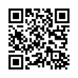 QR Code (код быстрого отклика)