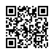 QR Code (код быстрого отклика)