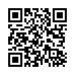 QR Code (код быстрого отклика)