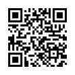 QR Code (код быстрого отклика)