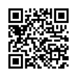 QR Code (код быстрого отклика)