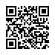 QR Code (код быстрого отклика)