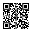 QR Code (код быстрого отклика)