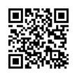 QR Code (код быстрого отклика)