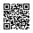 QR Code (код быстрого отклика)