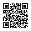 QR Code (код быстрого отклика)