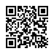 QR Code (код быстрого отклика)