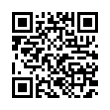 QR Code (код быстрого отклика)