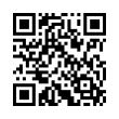 QR Code (код быстрого отклика)