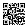 QR Code (код быстрого отклика)