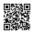 QR Code (код быстрого отклика)