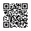 QR Code (код быстрого отклика)