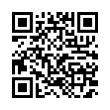 QR Code (код быстрого отклика)