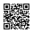 QR Code (код быстрого отклика)