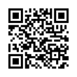 QR Code (код быстрого отклика)