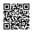 QR Code (код быстрого отклика)