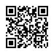 QR Code (код быстрого отклика)