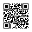 QR Code (код быстрого отклика)