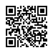 QR Code (код быстрого отклика)