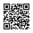 QR Code (код быстрого отклика)