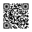 QR Code (код быстрого отклика)