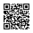 QR Code (код быстрого отклика)