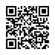 QR Code (код быстрого отклика)